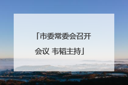 市委常委会召开会议 韦韬主持