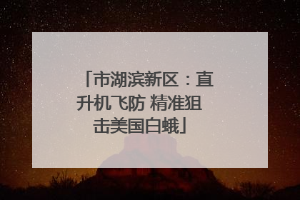 市湖滨新区：直升机飞防 精准狙击美国白蛾