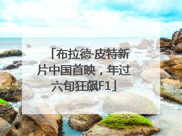 布拉德·皮特新片中国首映，年过六旬狂飙F1