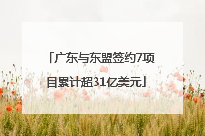 广东与东盟签约7项目累计超31亿美元