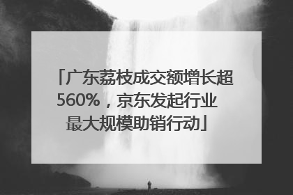 广东荔枝成交额增长超560%，京东发起行业最大规模助销行动