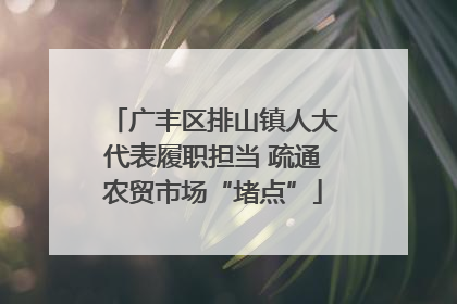 广丰区排山镇人大代表履职担当 疏通农贸市场“堵点”
