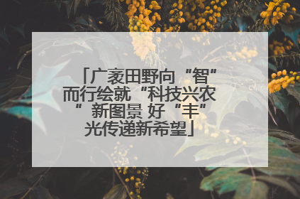 广袤田野向“智”而行绘就“科技兴农”新图景 好“丰”光传递新希望