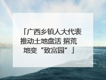 广西乡镇人大代表推动土地盘活 撂荒地变“致富园”