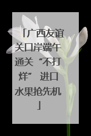 广西友谊关口岸端午通关“不打烊” 进口水果抢先机