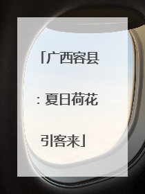 广西容县：夏日荷花引客来