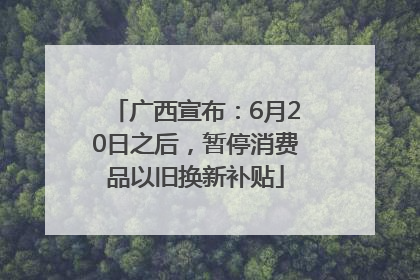 广西宣布：6月20日之后，暂停消费品以旧换新补贴