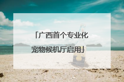 广西首个专业化宠物候机厅启用