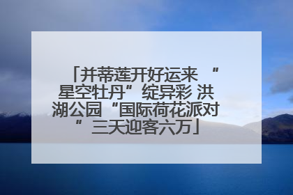 并蒂莲开好运来 “星空牡丹”绽异彩 洪湖公园“国际荷花派对”三天迎客六万