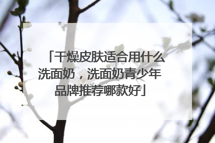 干燥皮肤适合用什么洗面奶，洗面奶青少年品牌推荐哪款好