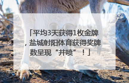 平均3天获得1枚金牌,盐城射阳体育获得奖牌数呈现“井喷”!