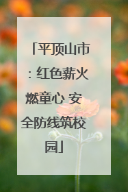 平顶山市：红色薪火燃童心 安全防线筑校园