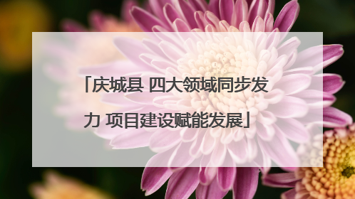 庆城县 四大领域同步发力 项目建设赋能发展