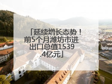 延续增长态势！前5个月潍坊市进出口总值1539.4亿元