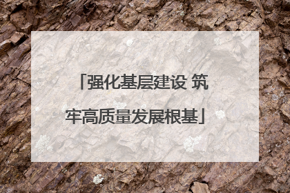 强化基层建设 筑牢高质量发展根基