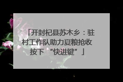 开封杞县苏木乡：驻村工作队助力夏粮抢收按下 “快进键”