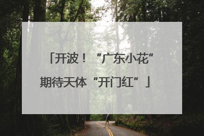 开波！“广东小花”期待天体“开门红”