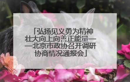 弘扬见义勇为精神 壮大向上向善正能量——北京市政协召开调研协商情况通报会