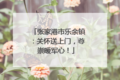 张家港市乐余镇：关怀送上门，尊崇暖军心！