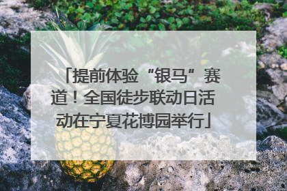提前体验“银马”赛道！全国徒步联动日活动在宁夏花博园举行