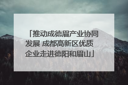 推动成德眉产业协同发展 成都高新区优质企业走进德阳和眉山