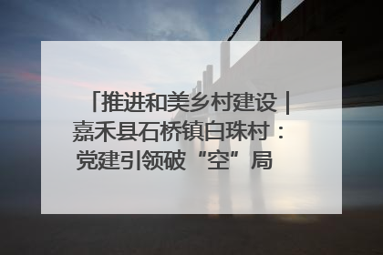 推进和美乡村建设｜嘉禾县石桥镇白珠村：党建引领破“空”局 乡贤聚力绘就新图景