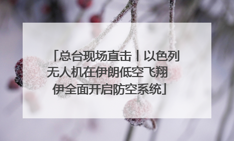 总台现场直击丨以色列无人机在伊朗低空飞翔 伊全面开启防空系统