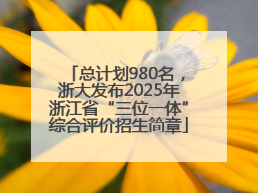 总计划980名，浙大发布2025年浙江省“三位一体”综合评价招生简章