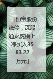 恒宝股份涨停，深股通龙虎榜上净买入3583.22万元
