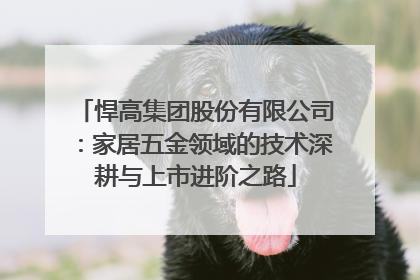 悍高集团股份有限公司：家居五金领域的技术深耕与上市进阶之路