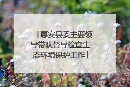 惠安县委主要领导带队督导检查生态环境保护工作