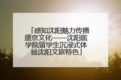 感知沈阳魅力传播盛京文化——沈阳医学院留学生沉浸式体验沈阳文旅特色