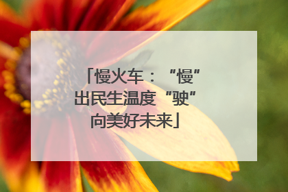 慢火车：“慢”出民生温度“驶”向美好未来