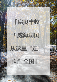 扇贝丰收！威海扇贝从这里“走向”全国