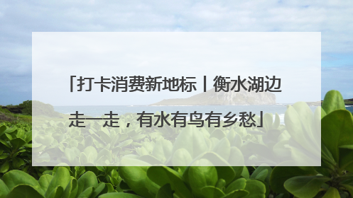 打卡消费新地标丨衡水湖边走一走，有水有鸟有乡愁