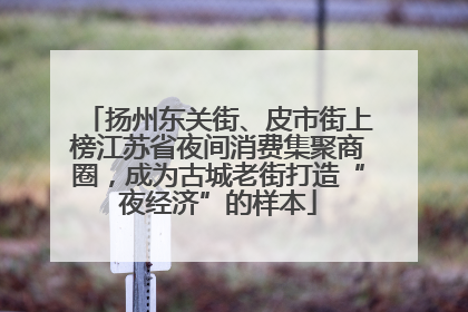 扬州东关街、皮市街上榜江苏省夜间消费集聚商圈，成为古城老街打造“夜经济”的样本