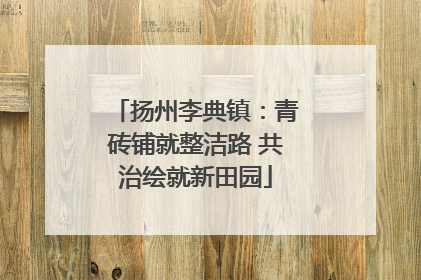 扬州李典镇：青砖铺就整洁路 共治绘就新田园