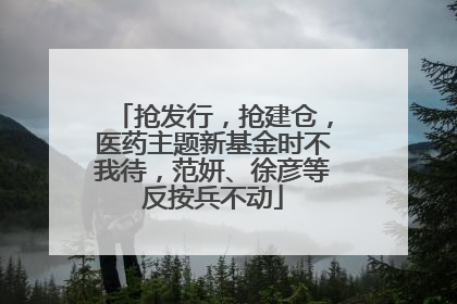 抢发行，抢建仓，医药主题新基金时不我待，范妍、徐彦等反按兵不动