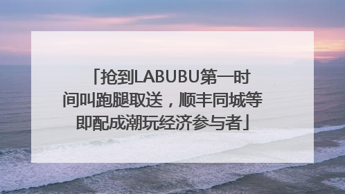 抢到LABUBU第一时间叫跑腿取送，顺丰同城等即配成潮玩经济参与者