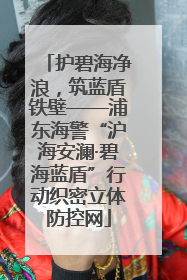 护碧海净浪，筑蓝盾铁壁——浦东海警“沪海安澜·碧海蓝盾”行动织密立体防控网