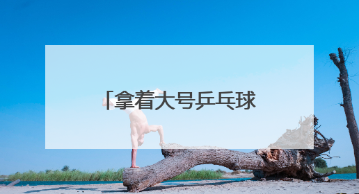 拿着大号乒乓球拍，在羽毛球场地打网球！这项运动正风靡江城