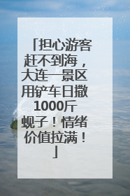 担心游客赶不到海，大连一景区用铲车日撒1000斤蚬子！情绪价值拉满！