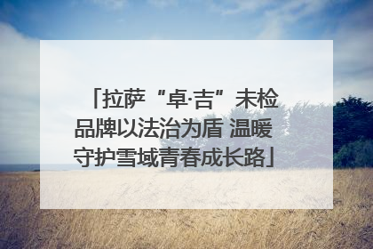 拉萨“卓·吉”未检品牌以法治为盾 温暖守护雪域青春成长路