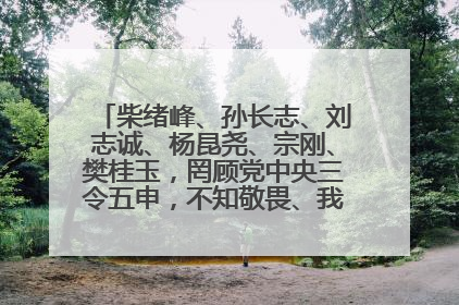 柴绪峰、孙长志、刘志诚、杨昆尧、宗刚、樊桂玉，罔顾党中央三令五申，不知敬畏、我行我素、肆意妄为！