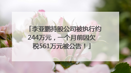 李亚鹏持股公司被执行约244万元，一个月前因欠税561万元被公告！