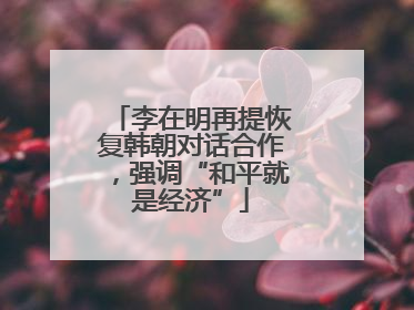 李在明再提恢复韩朝对话合作，强调“和平就是经济”