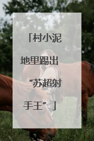 村小泥地里踢出“苏超射手王”