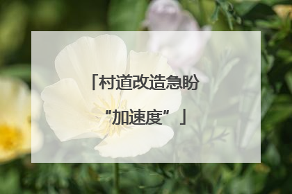 村道改造急盼“加速度”