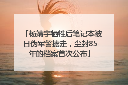 杨靖宇牺牲后笔记本被日伪军警掳走，尘封85年的档案首次公布