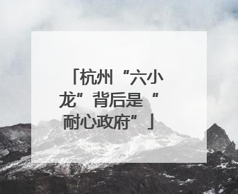 杭州“六小龙”背后是“耐心政府”